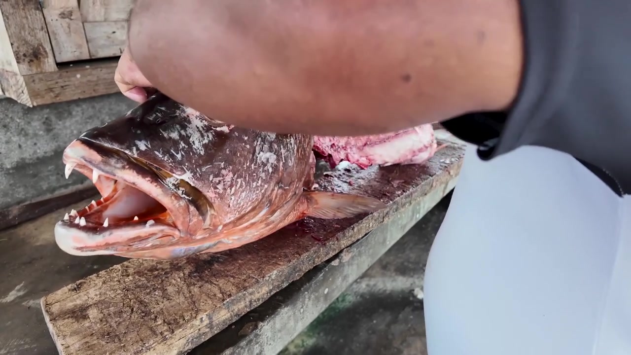 Đánh bắt bền vững. Cận cảnh ghi lại kỹ thuật thủ công chính xác của ngư dân địa phương khi làm sạch và chuẩn bị cá pargo tươi để bán ra thị trường bền vững. Cắt xương cá hồng tươi