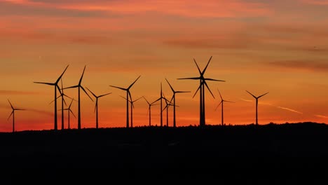 aerial shot of many silhouettes of active wind turbines rising out of a forest during sunset