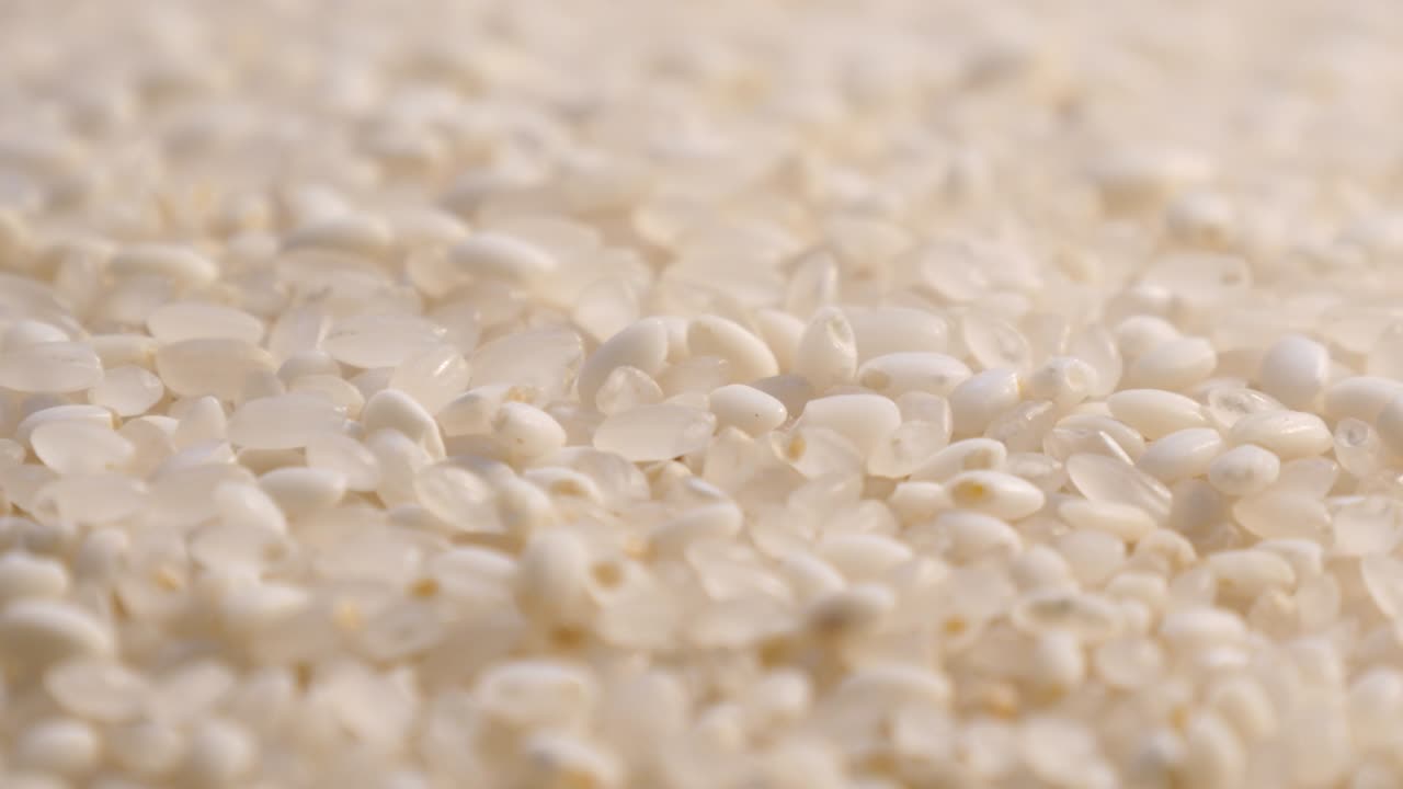 выстрел из массива рисовых семян