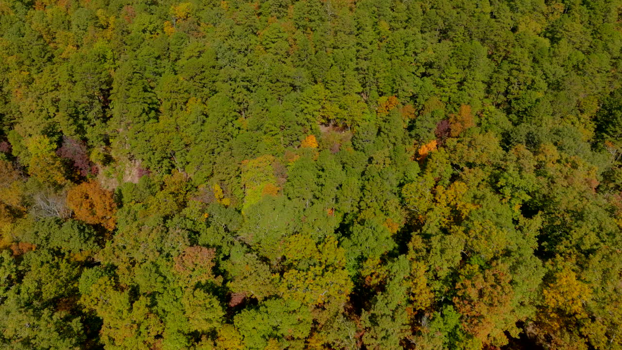 volteo aéreo sobre árboles en otoño en el país en el sur de missouri en un bonito día