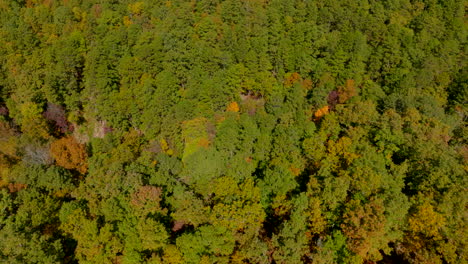 Volteo-Aéreo-Sobre-árboles-En-Otoño-En-El-País-En-El-Sur-De-Missouri-En-Un-Bonito-Día