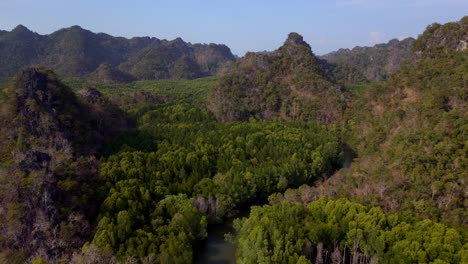 Manglares-Río-Colinas-Malasia-Langkawi