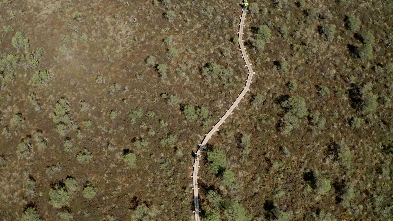 mochilero caminando por senderos pantanosos