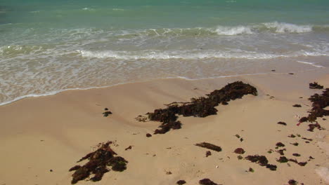 Las-Olas-Llegan-A-Una-Hermosa-Playa-De-Arena-Blanca-En-Hawái-1