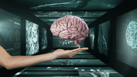 animación del cerebro humano girando sobre pantallas con procesamiento de datos científicos