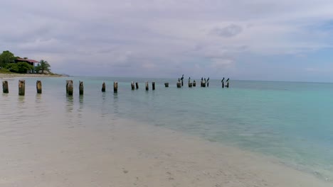 Schwenken-Sie-Den-Rechten-Tropischen-Küstenstrand-Mit-Kristallklarer-Wasserbrandung-Und-Pelikanen-Stehen-Auf-Dem-Alten-Pier,