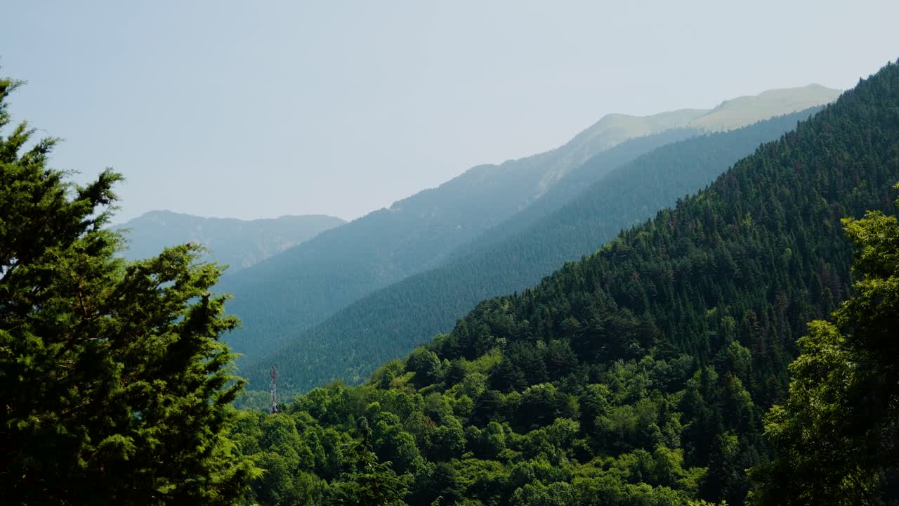 Lush green forested mountains under clear blue sky in peaceful daylight