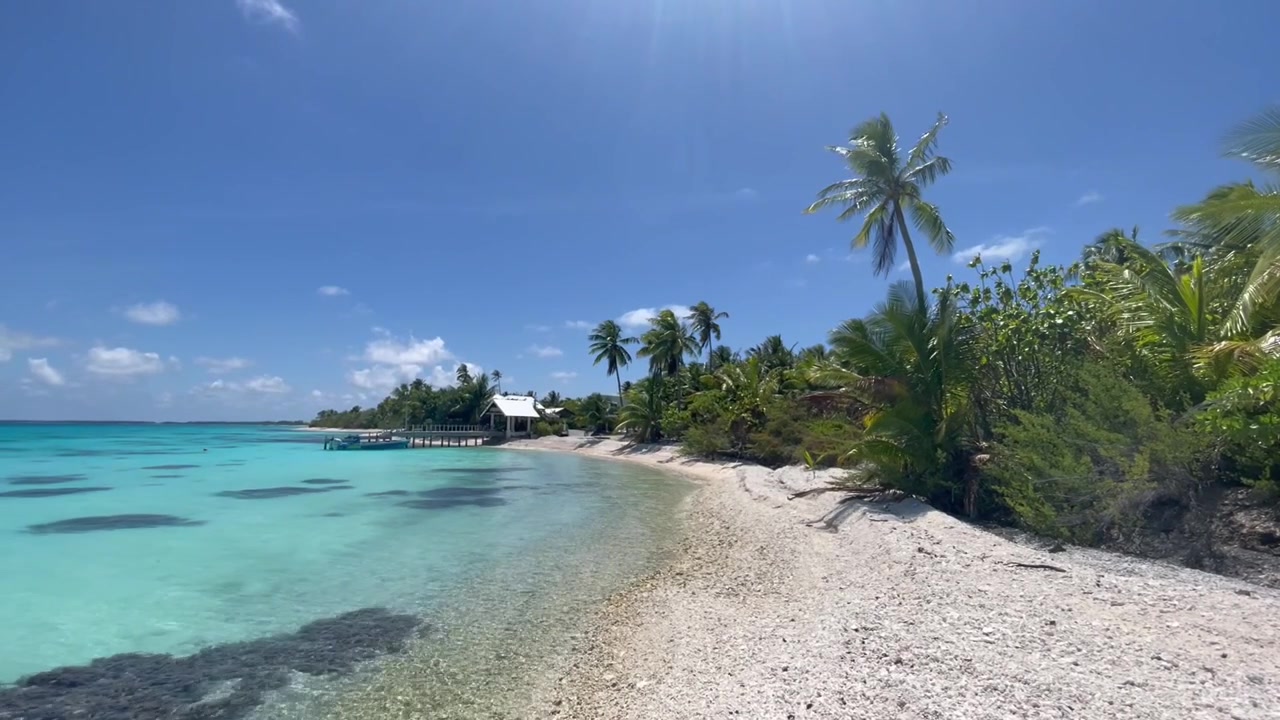 Landscape shot of a static scene on a paradise-like beach, with clear, crystal-clear water, coconut and palm trees swaying in the wind, a pier in the distance, and a blue sky