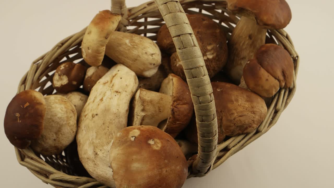 cesta de mimbre con los hongos porcini