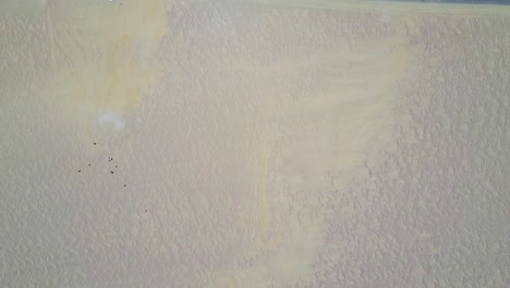 dunas de arena texturizadas en perú con una vista de arriba hacia abajo desde un drone aéreo panorámico
