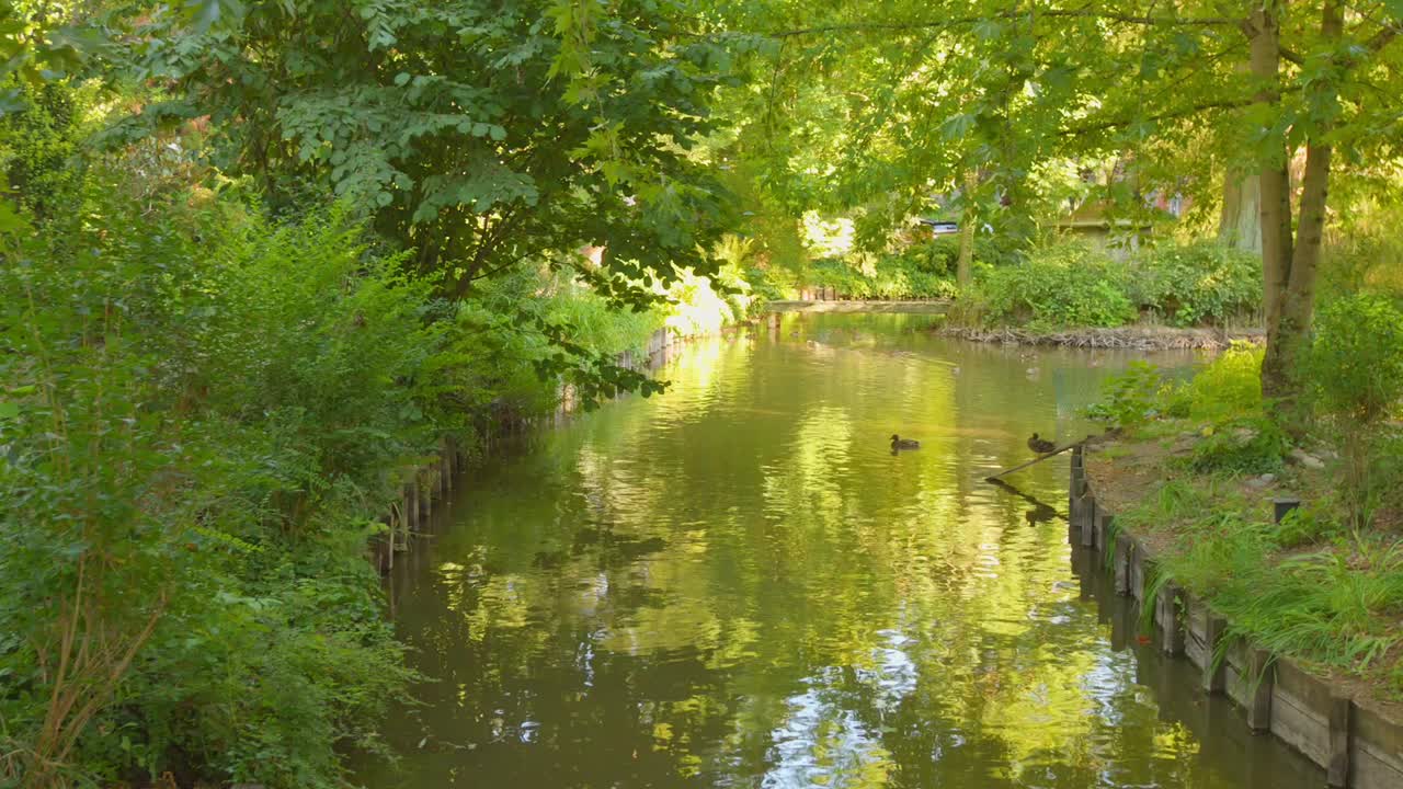 Explore the vibrant and peaceful botanical gardens in Toulouse, France. Diverse collection of plants, tranquil paths, and beautiful landscapes