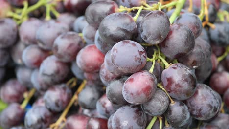 primer plano de las uvas rojas