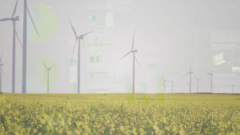 wind turbines being animated spinning above blooming canola field with flat design ui overlays
