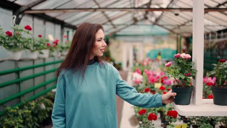 mujer joven de compras para plantas decorativas, oler la olla con pequeñas rosas