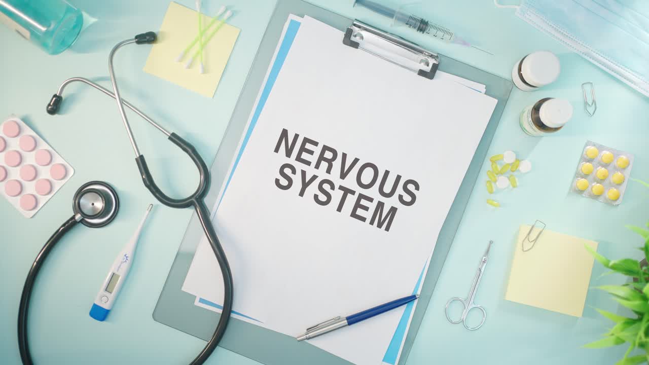 NERVOUS SYSTEM WRITTEN ON MEDICAL PAPER