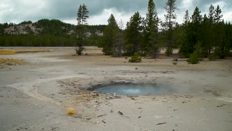 steamy volcanic pond in the norris geyser basin of yellowstone national park