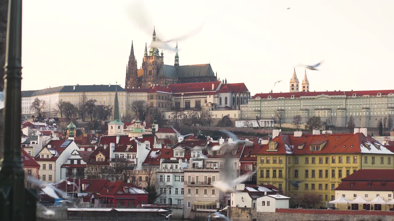 Stormo di gabbiani che volteggiano sopra il centro storico di Praga e il Castello di Praga.