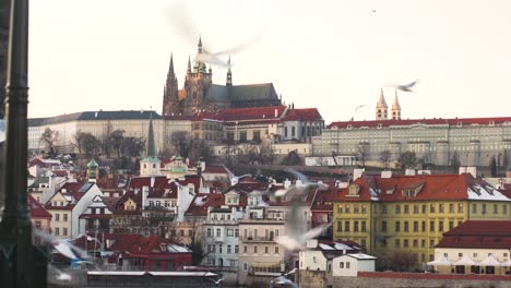 flock of seagulls circling above prague city center and prague castle