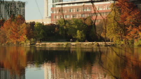 people taking leisurely stroll walk by lake river in city with autumn with beautiful fall color leaves at sunset