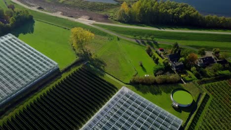 aerial drone view of flying over the greenhouses and revealing the beautiful watery landscape in the netherlands, europe