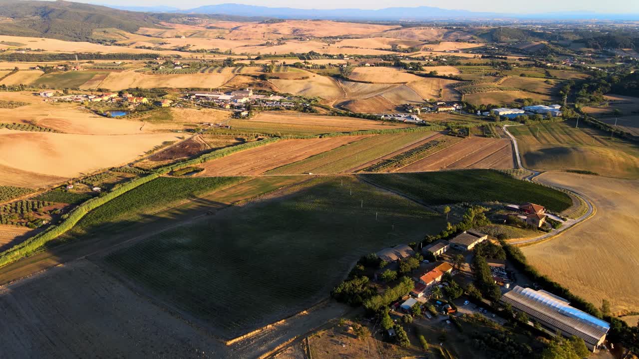 vista panorámica aérea de las filas de viñedos, en las colinas de la toscana, en el campo italiano, en un día soleado