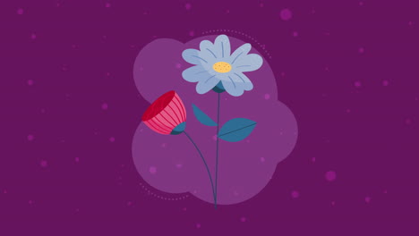 animación de jardín de flores azules y rojas