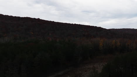 Vista-Nocturna-De-Los-árboles-En-Otoño-A-Lo-Largo-Del-Sendero-Cerca-De-Cedar-Flats-En-Banyard,-Arkansas