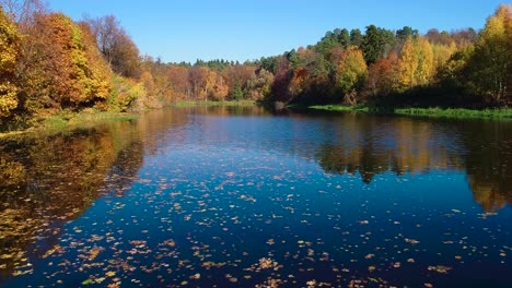 colorful autumn forest wood on the lake