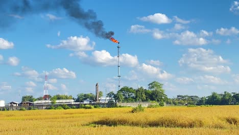 refinery burning gas plant in rural area with agriculture fields, handheld view