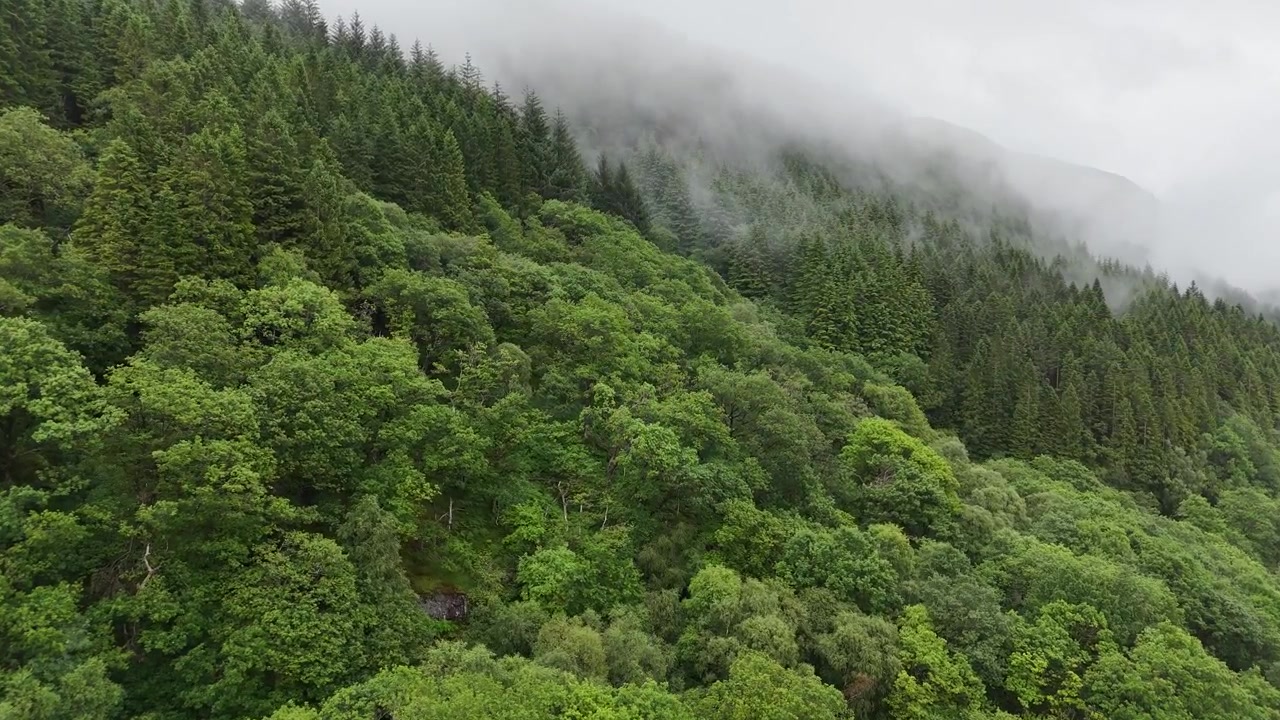 Pemandangan udara Loch Lomond dengan garis pantai berhutan dan perbukitan bergelombang di Taman Nasional Trossachs, Skotlandia