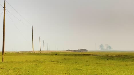 green fields covered by the fog and local electricity transmission line in the afternoon