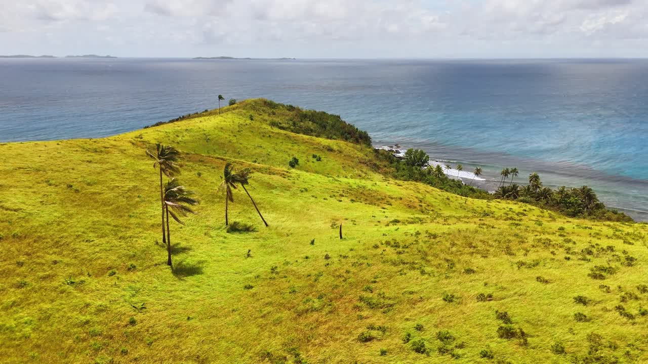 Tall palm trees sway across grassy hills under strong coastal winds, with the vast ocean and nearby islets visible from Corregidor Island, part of the Siargao Islands in the Philippines