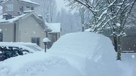 car covered in snow during a blizzard