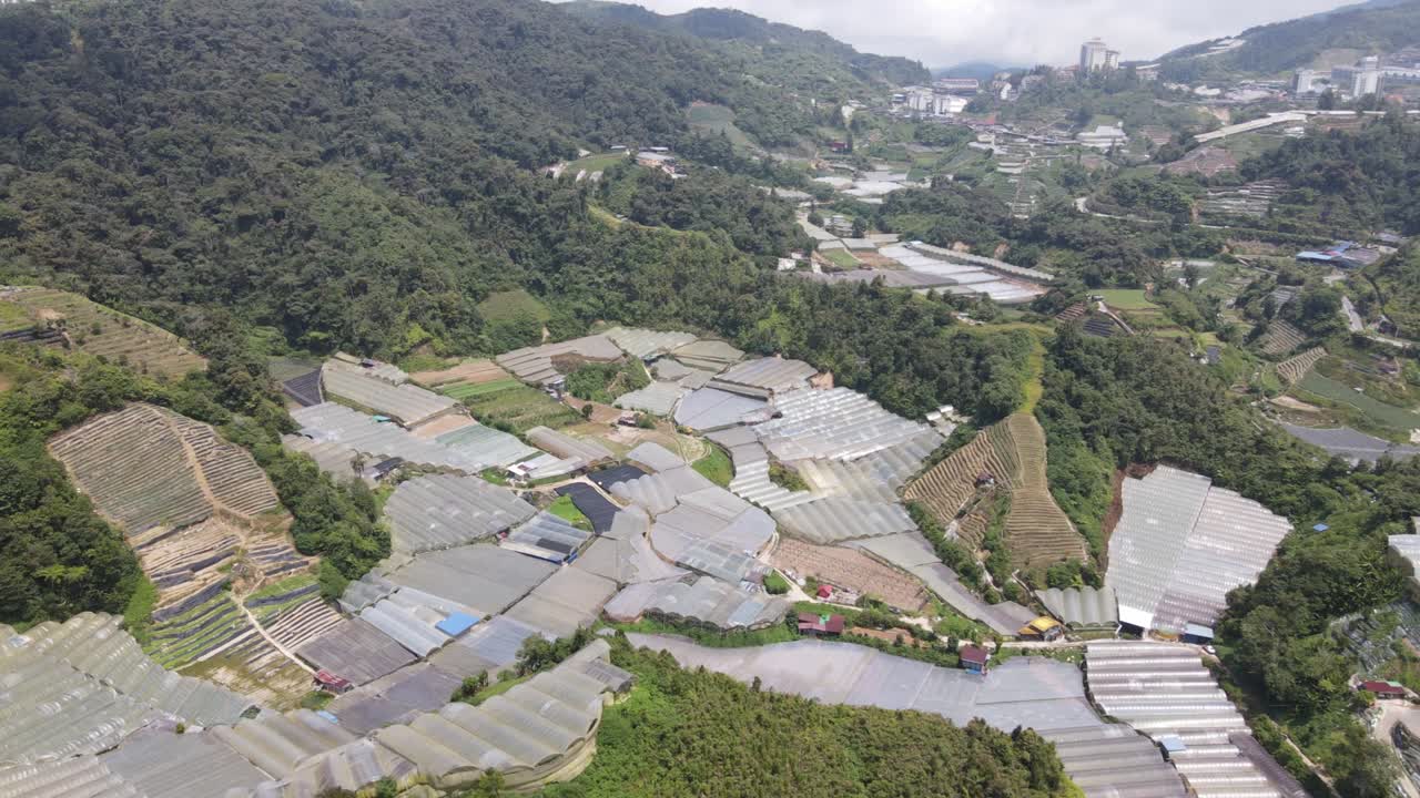 말레이시아의 카메론 하이랜드 지역 내의 브린창 지역의 일반 풍경