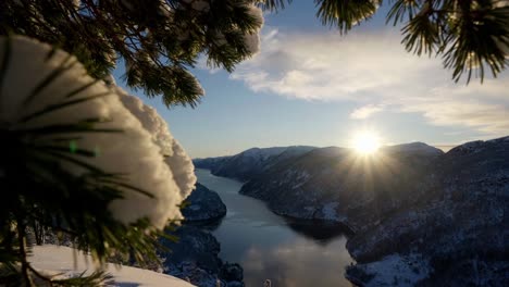 stunning winter sunset at norway fjord from inside natural pine tree frame