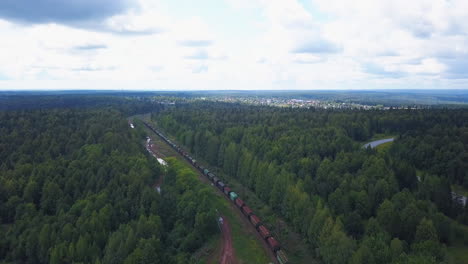 train through forest