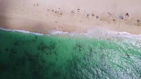 Luftaufnahme-Von-Oben-Nach-Unten,-Die-Die-Bewegung-Von-Oahu-Beach-Auf-Hawaii-Mit-Durchscheinendem-Wasser-Zeigt