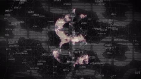 animación del símbolo de bitcoin sobre las cadenas