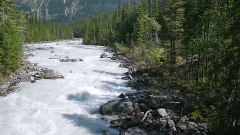 waterflow in river at yoho valley in summer daytime in yoho national park, british columbia,canada with background of mountain rang view and pinetree forest