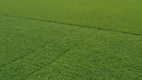 aerial - beautiful lush, green fertile fields, wide reverse shot