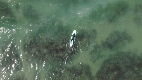 Surfers-on-the-sea,-Kamakura,-Japan