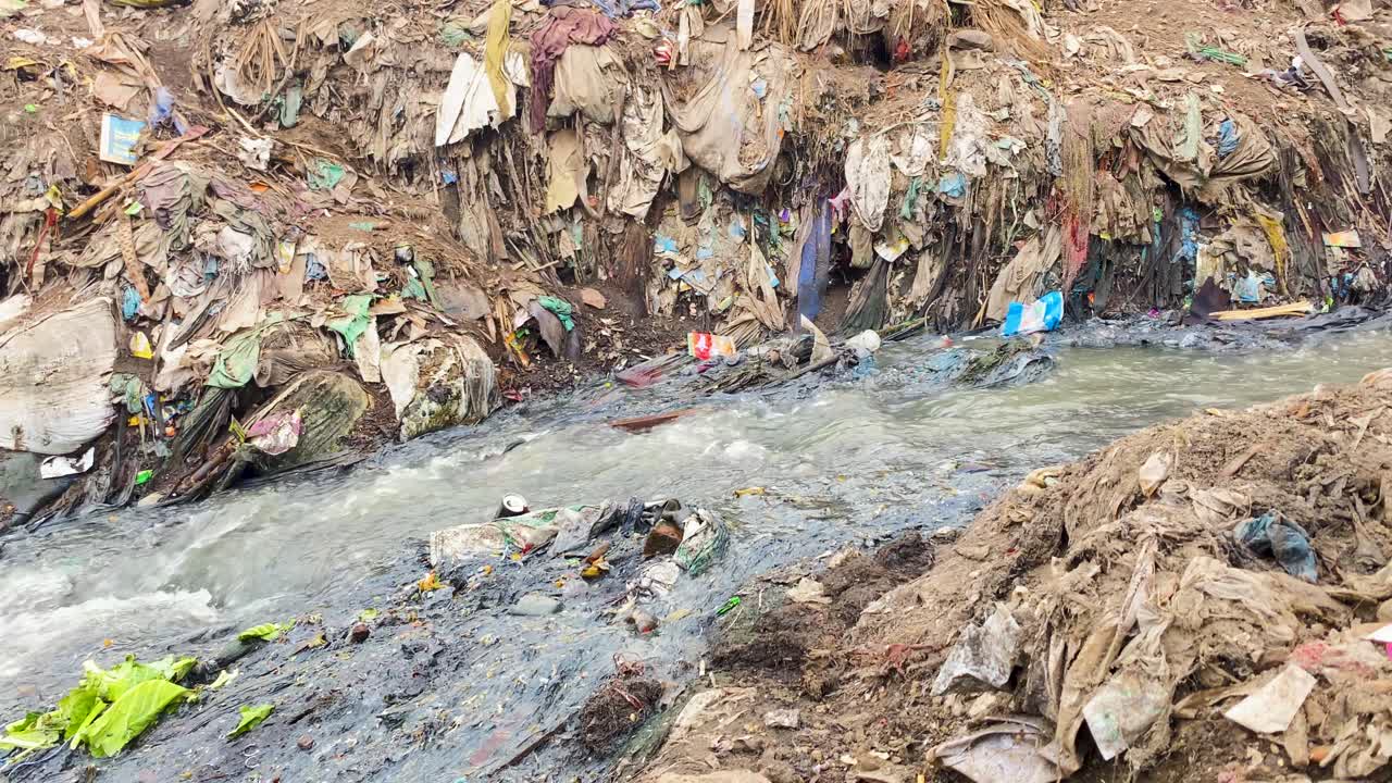A small dog scavenging for food in polluted sewage water in an impoverished area of Bangladesh