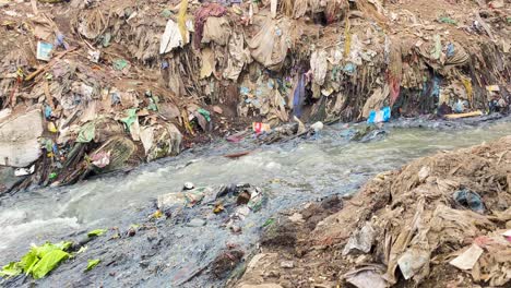 a small dog scavenging for food in polluted sewage water in an impoverished area of bangladesh