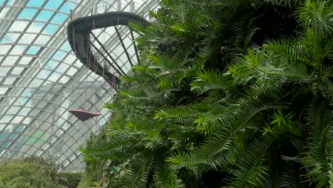 traveling shot pan cloud forest gardens by the bay singapore