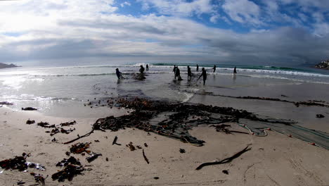 Artisanal-fishermen-fishing-for-yellowtail