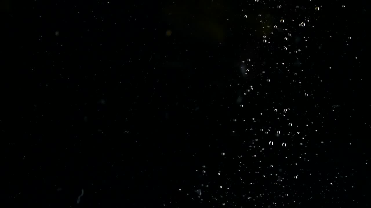 레몬 슬라이스는 물, 검정색 배경에 던져질 때 거품을 만듭니다.