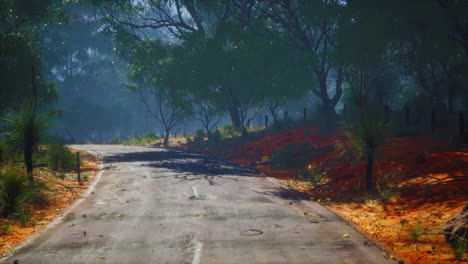 Clean-rural-Road-with-trees