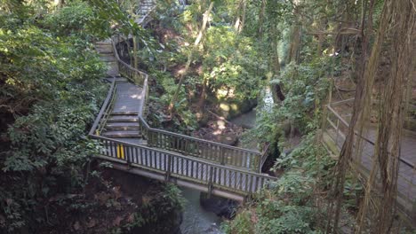 amazing wooden bridge in bali indonesia forest