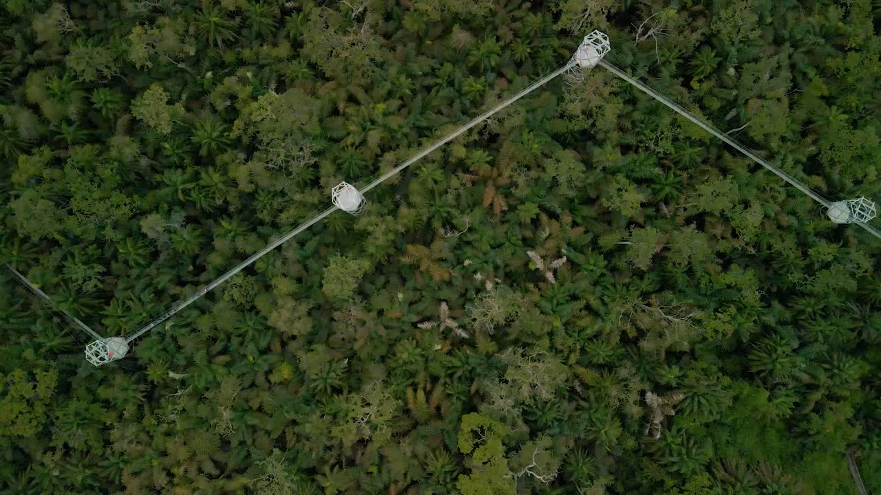 레키의 자연 및 야생 동물 보호와 함께 아프리카에서 가장 긴 캐노피 산책로