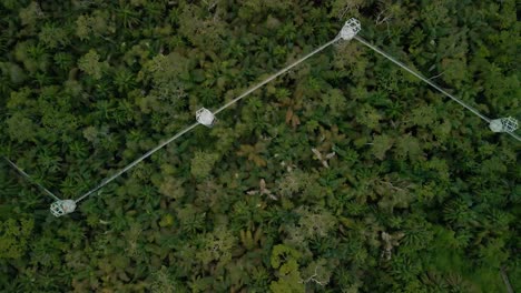 la pasarela de dosel más larga de áfrica con conservación de la naturaleza y la vida silvestre en lekki
